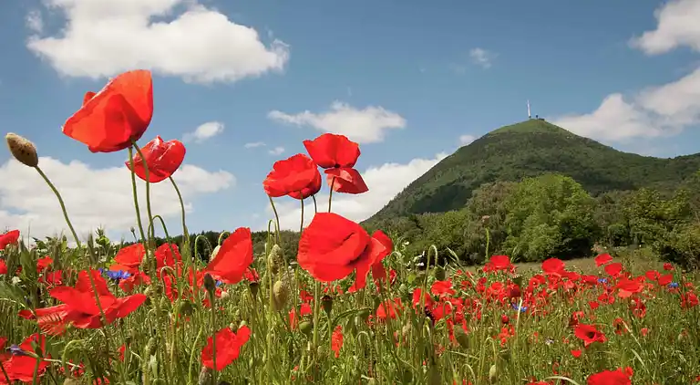 Sommerhus i Saint-Hilaire