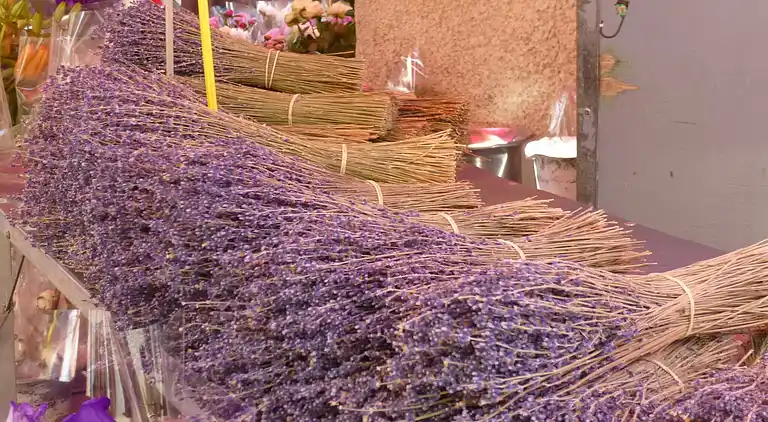 Sommerhus i Céreste