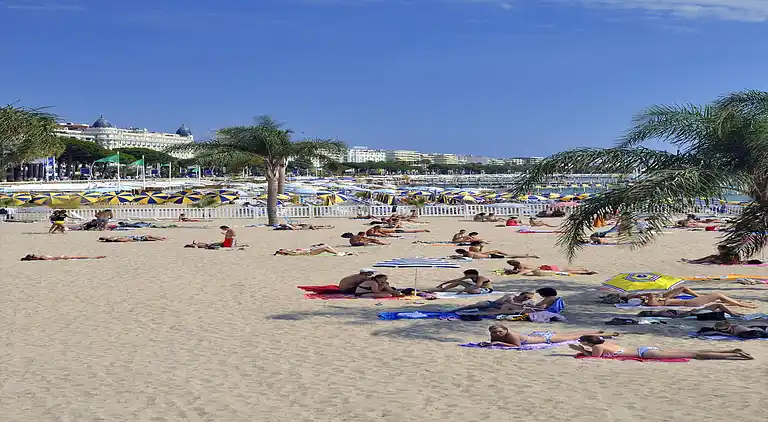 Apartment in Centre Ville