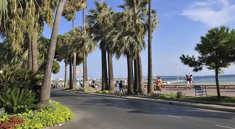 Apartment in Centre Ville