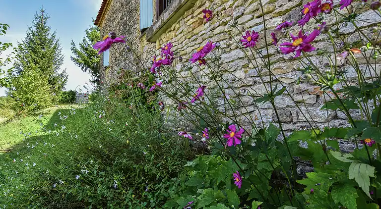 Sommerhus i Loubejac