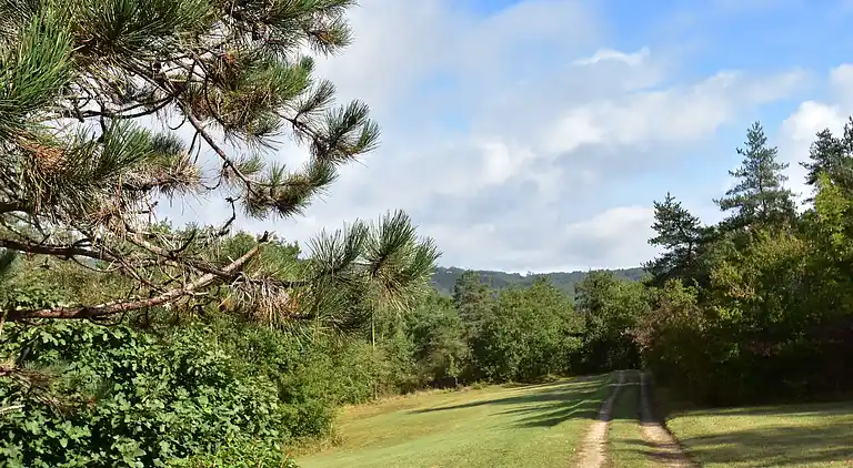 Holiday home in Montignac