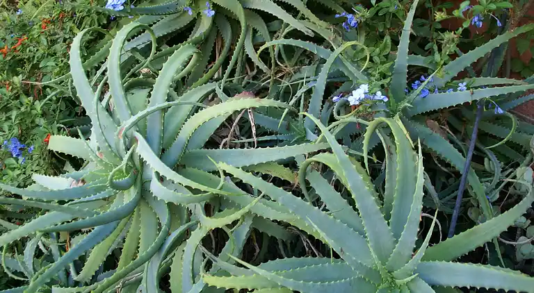 Holiday home in Chiatra