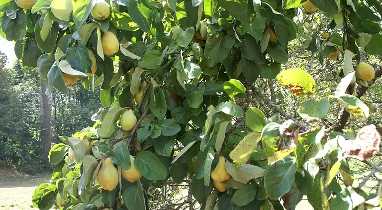Holiday home in Loubejac