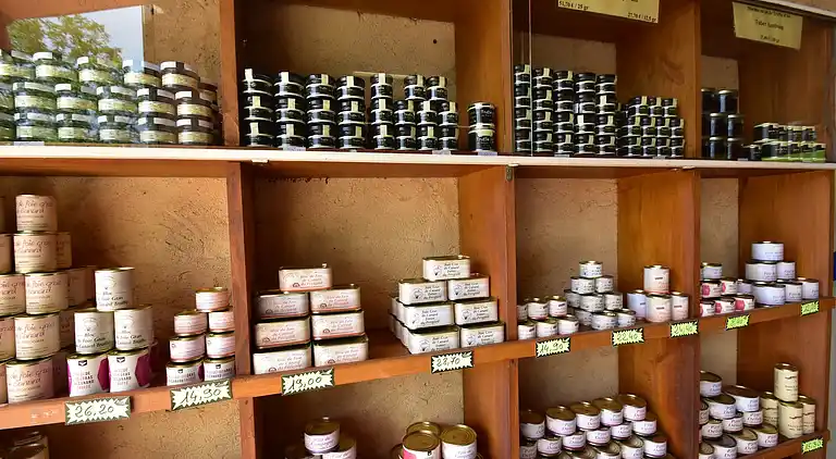 Holiday home in Saint-Cyprien