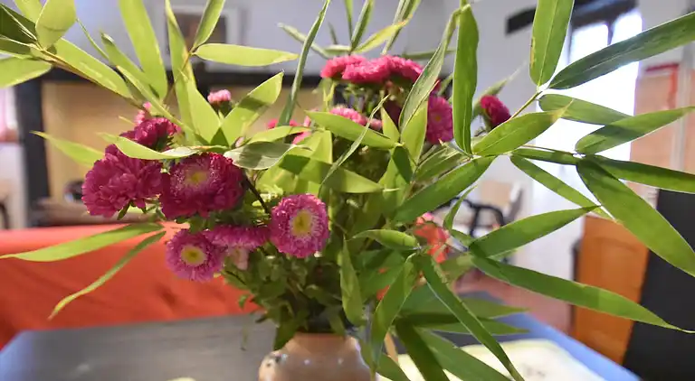 Holiday home in Saint-Cyprien