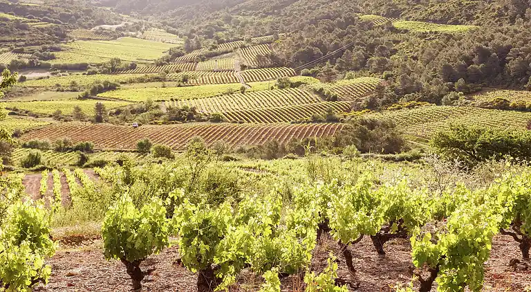 Holiday home in Loubejac