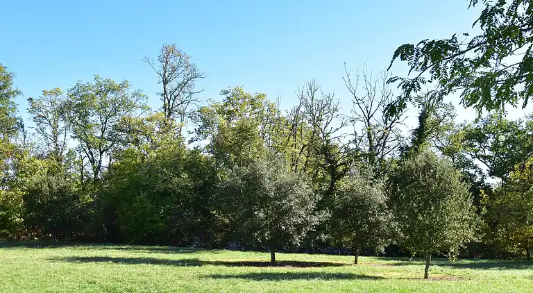 Holiday home in Nabirat