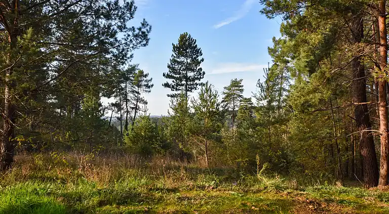 Holiday home in Sagelat
