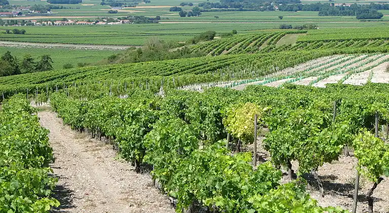 Villa i Lignières-Sonneville