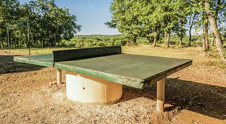 Holiday home in Saint-Crépin-et-Carlucet