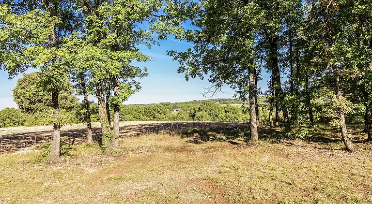 Sommerhus i Saint-Crépin-et-Carlucet