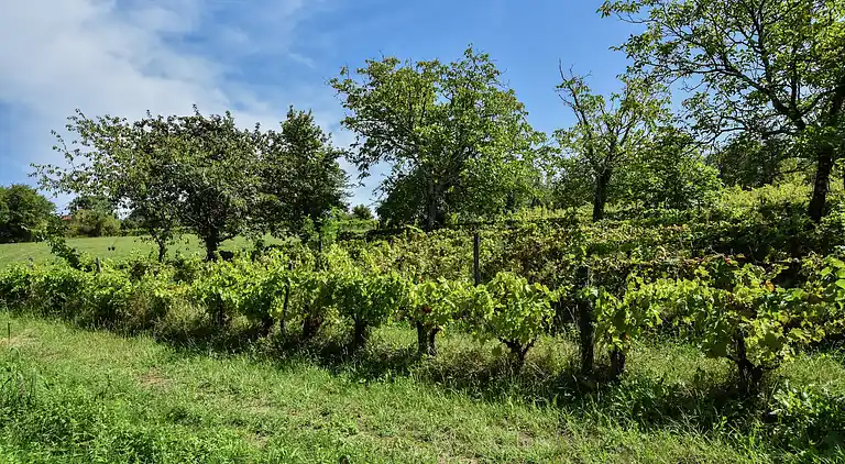 Sommerhus i Loubejac