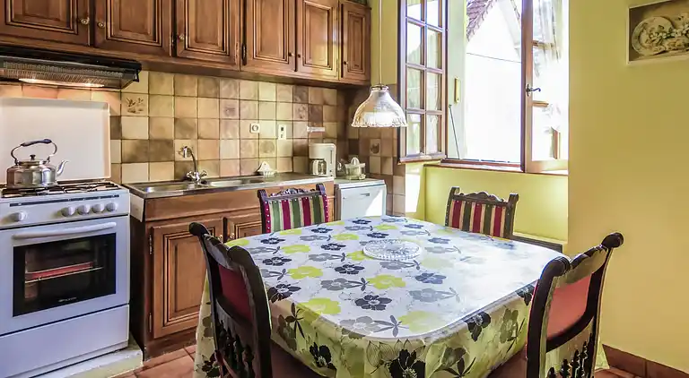 Holiday home in Bort-les-Orgues