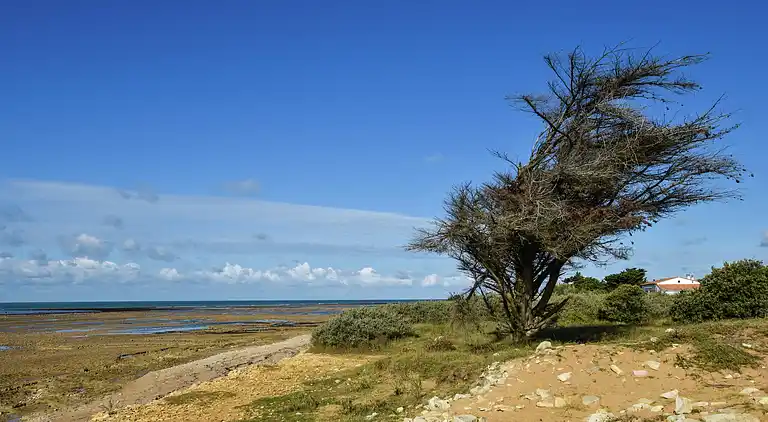 Casa de vacaciones en Le Bois-Plage-en-Ré