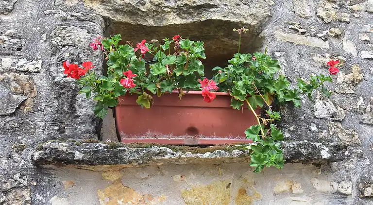 Holiday home in Saint-Cyprien