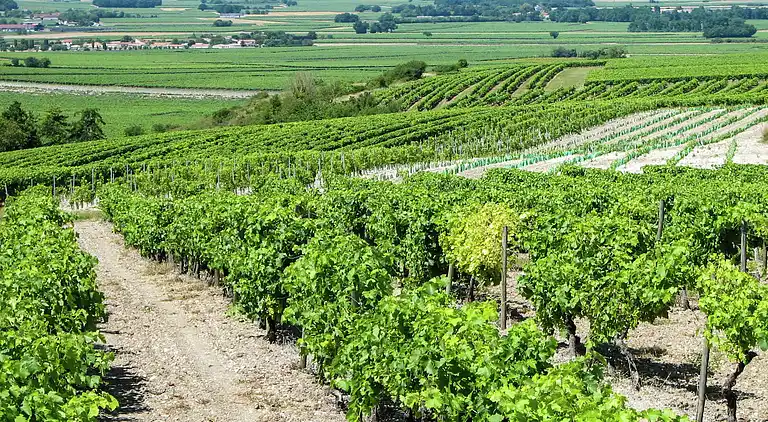 Villa in Lignières-Sonneville