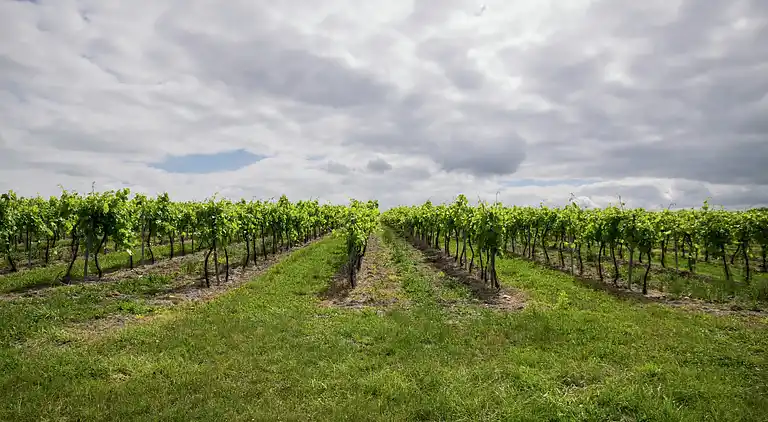 Villa i Lignières-Sonneville