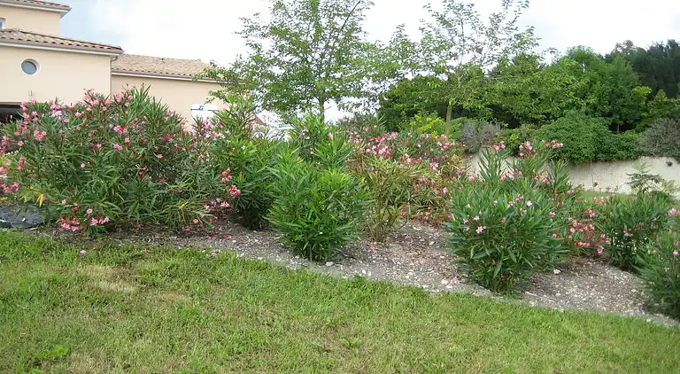 Villa in Lignières-Sonneville