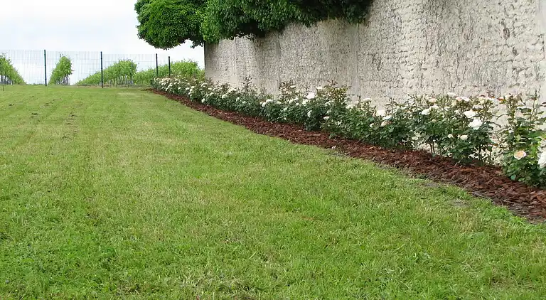 Villa i Lignières-Sonneville