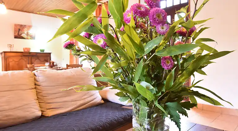 Holiday home in Saint-Cyprien