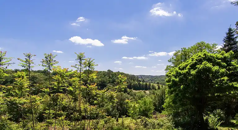 Herrgård i Saint-Géry