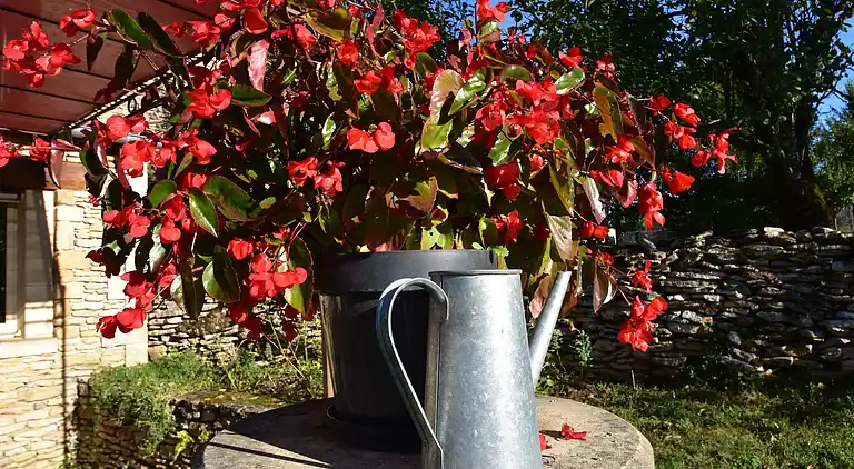 Holiday home in Saint-Crépin-et-Carlucet