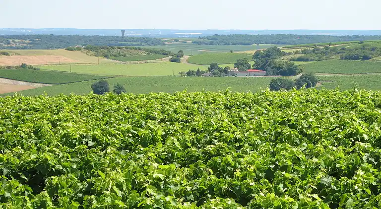 Villa in Lignières-Sonneville