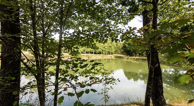 Cottage in Montpeyroux