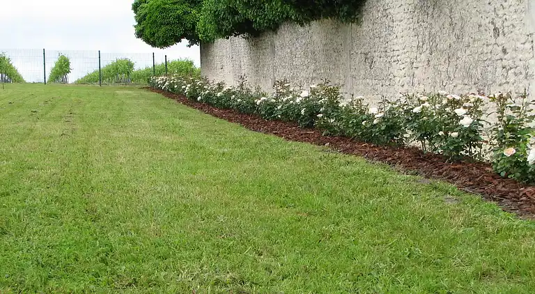 Villa in Lignières-Sonneville