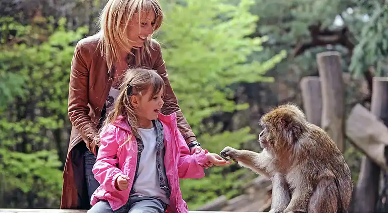 Holiday home in Saint-Crépin-et-Carlucet