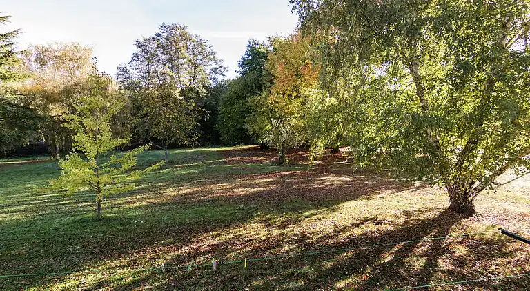 Holiday home in Tursac