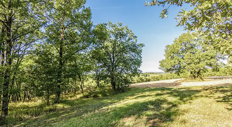 Holiday home in Saint-Crépin-et-Carlucet