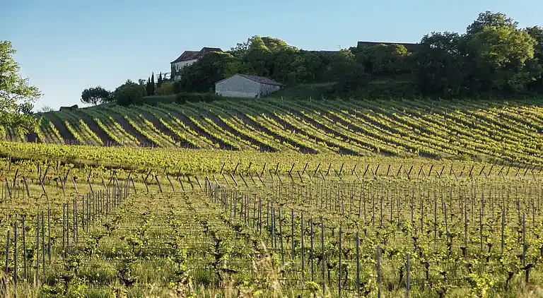 Holiday home in Sagelat