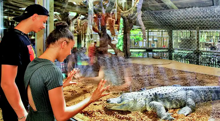 Holiday home in Saint-Crépin-et-Carlucet