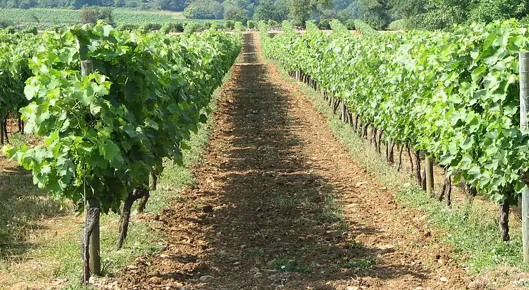 Villa in Lignières-Sonneville