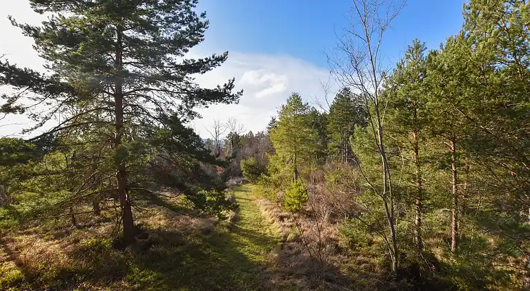 Holiday home in Sagelat