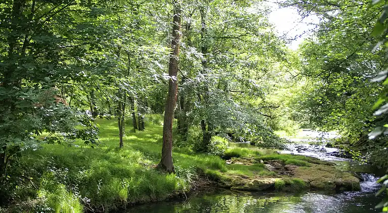 Vakantiehuis in Nabirat