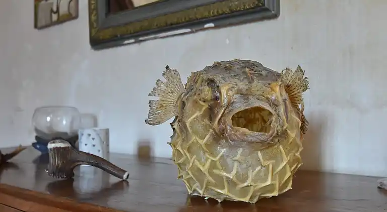 Herregård i Morlaix