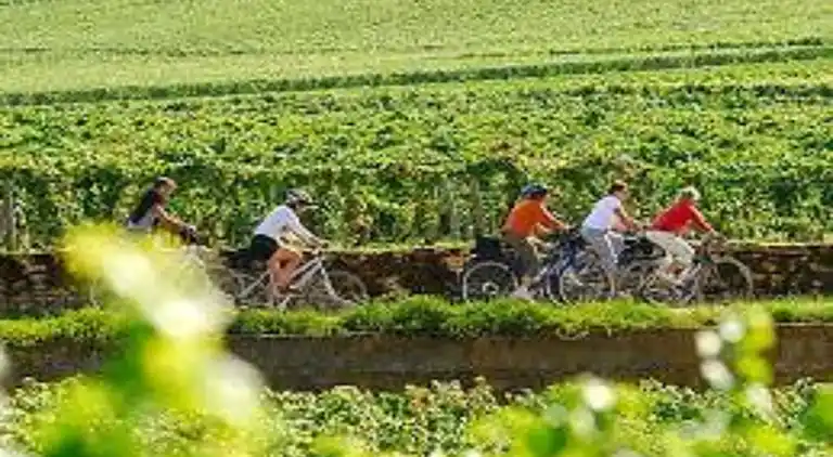 Sommerhus i La Grand-Combe