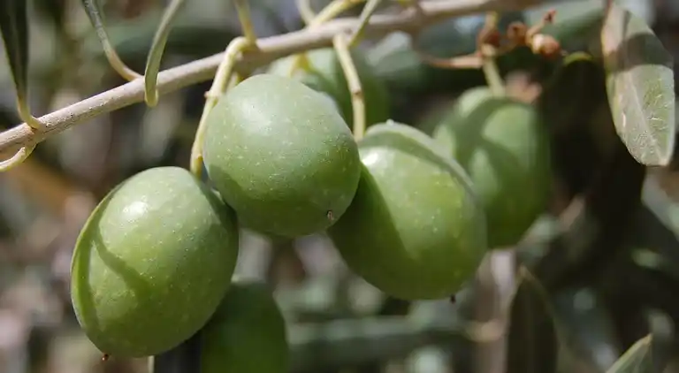 Villa in Ferrassières