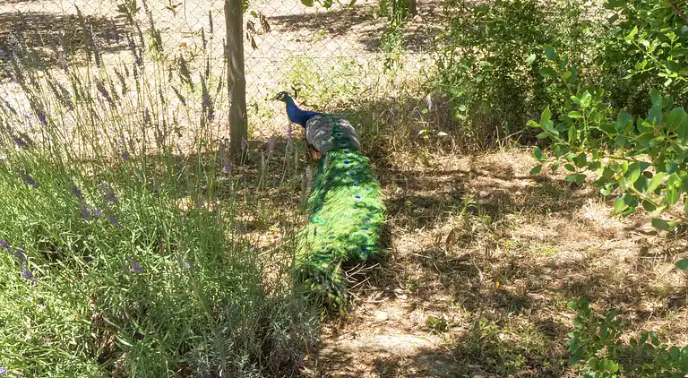 Holiday home in Occitanie