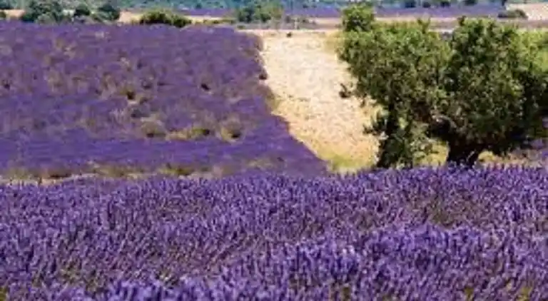 Sommerhus i La Grand-Combe