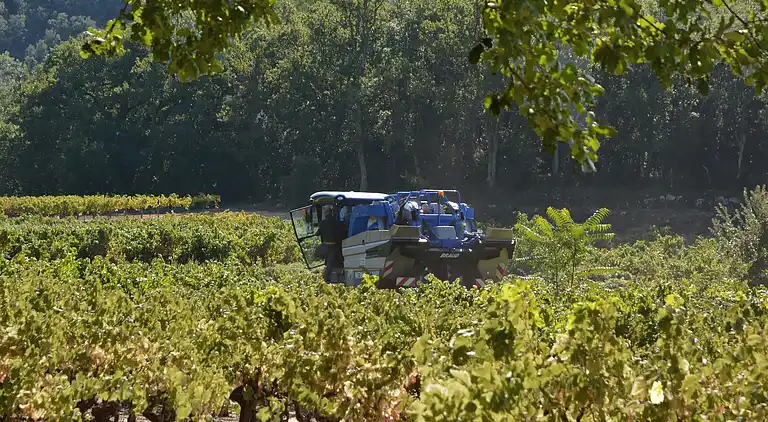 Villa in Saint-Laurent-d'Aigouze