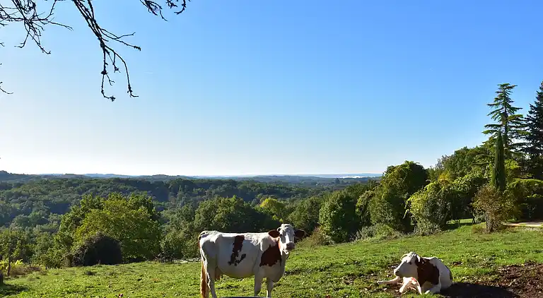 Holiday home in Saint-Germain-du-Bel-Air