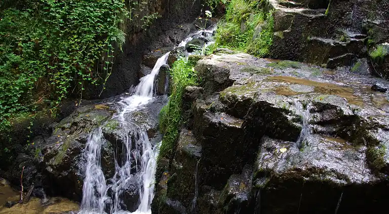 Holiday home in Saint-Symphorien-des-Monts