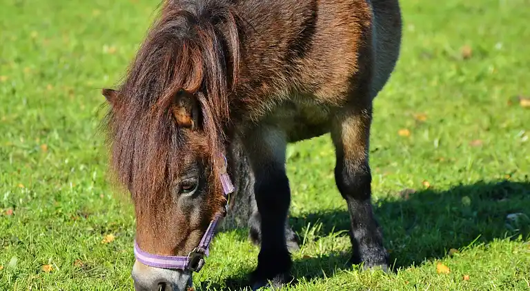 Casa de vacaciones en Salviac