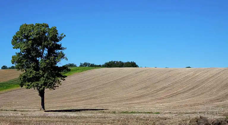 Holiday home in Vielle-Saint-Girons