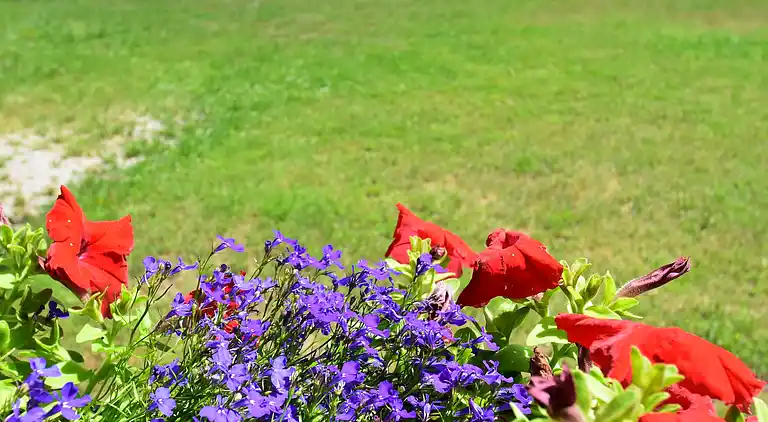 Cottage in Lafrimbolle