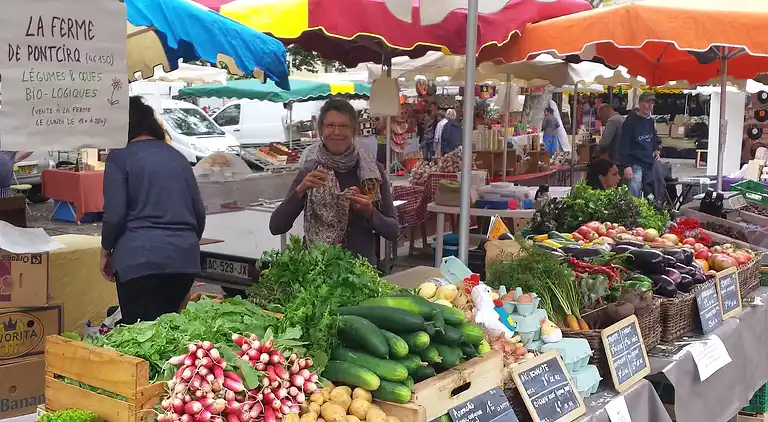 Holiday home in Cazals